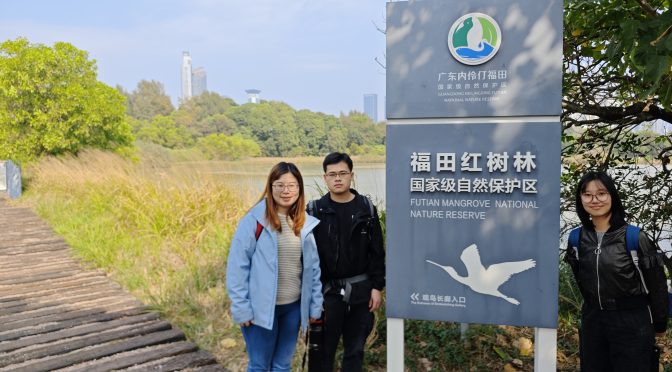 Pilot Study in Futian Mangrove National Nature Reserve